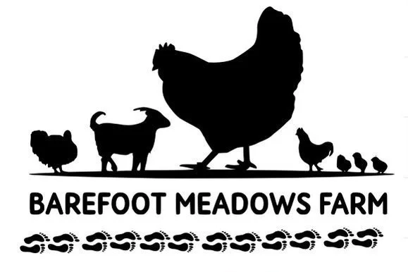 Barefoot Meadows Farm logo